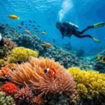Best Time Of Year To Dive In Padang Bai