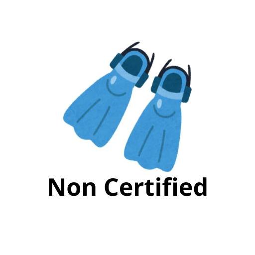 Discover Scuba Diving Non Certified Discover Scuba Diving Non Certified