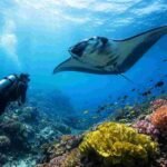 How Cold Is The Water In Nusa Penida