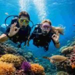 Is Amed Good for Beginners