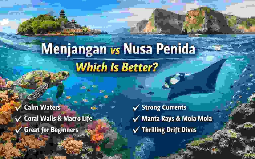 Menjangan vs Nusa Penida Which Is Better