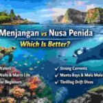 Menjangan vs Nusa Penida Which Is Better