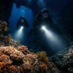 Night Diving in Amed