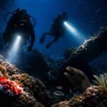 Night Diving in Tulamben Is It Worth It