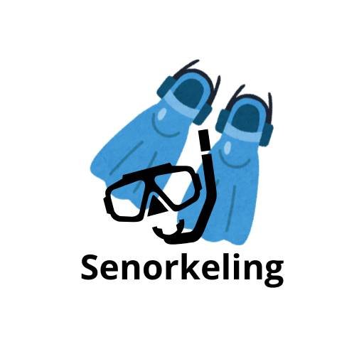 Senorkeling Price Bali Dive Center Senorkeling Price Bali Dive Center