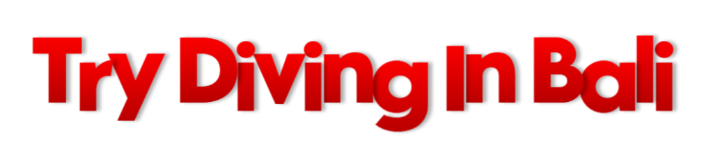 Try-Diving-In-Bali-2-18-2026