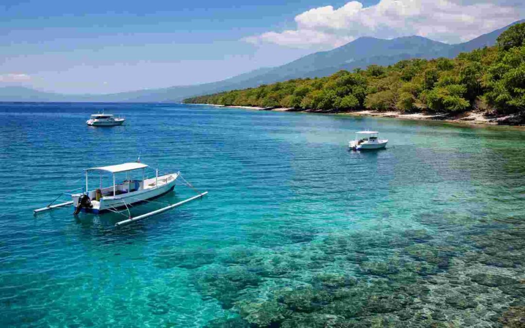 Why Underwater Visibility Is So Good In Menjangan
