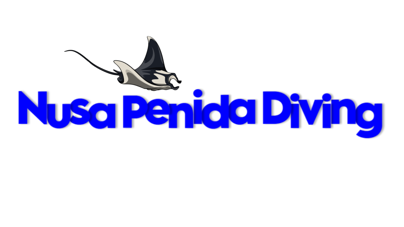 Nusa penida diving