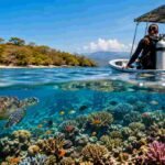 Coral Reefs of Menjangan Island A Healthy Ecosystem