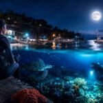 Padang Bai Night Diving What Can You See