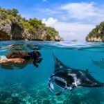 Can You Snorkel With Manta Rays in Nusa Penida