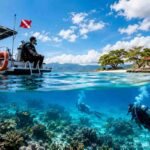 Menjangan Island Diving Safety Guide