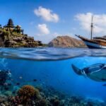 Bali Diving vs Komodo Diving