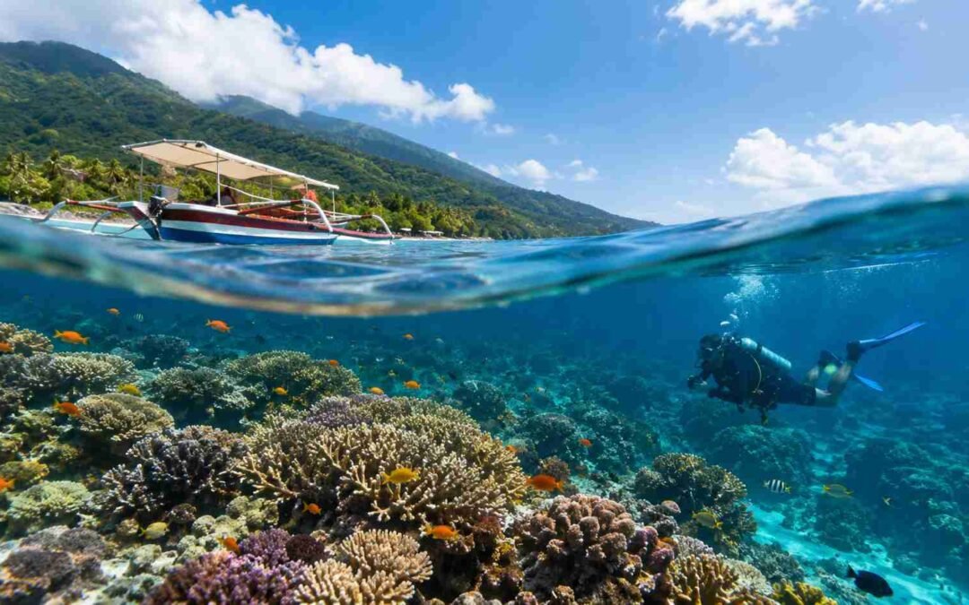Coral Reefs of Bali Explained