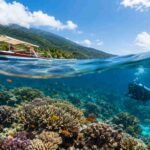 Coral Reefs of Bali Explained