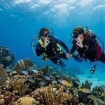 Dive Buddy Tips