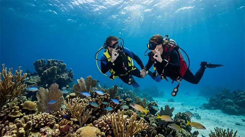 Dive Buddy Tips