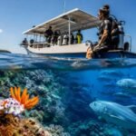 Macro vs Big Fish Diving in Bali