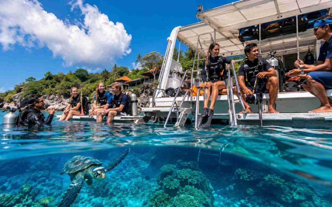Small Group vs Private Diving in Bali
