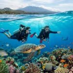 Bali Diving for Wildlife Lovers
