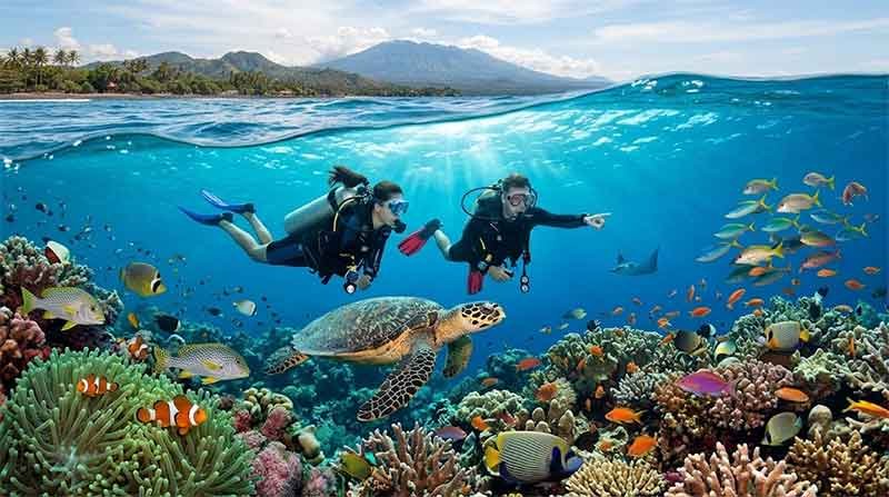 Bali Diving for Wildlife Lovers
