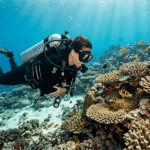 Why Slow Diving Is Better