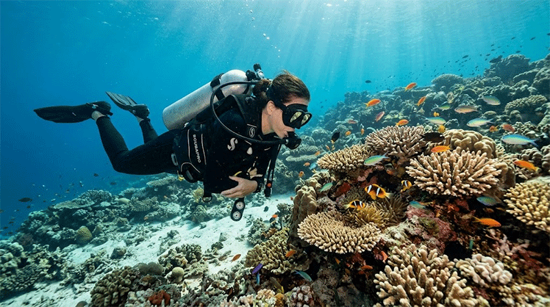 Why Slow Diving Is Better