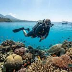How to Dive Responsibly in Bali