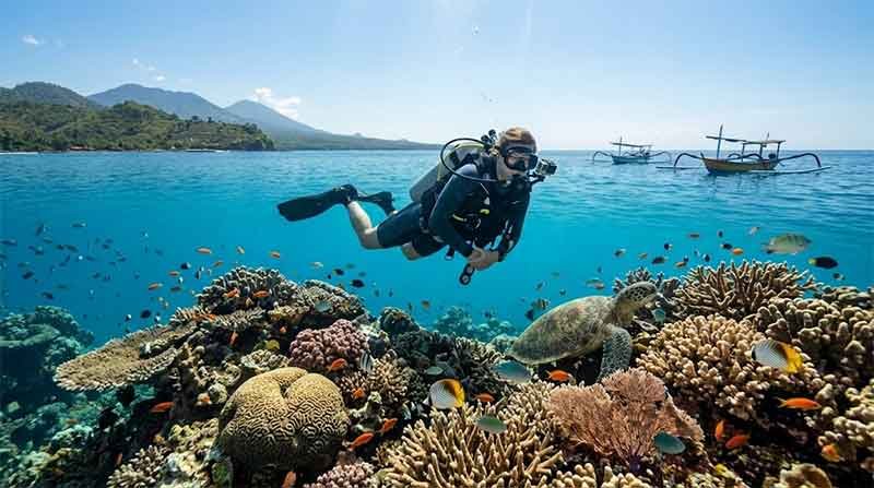 How to Dive Responsibly in Bali