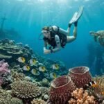 Reef Etiquette for Divers in Bali