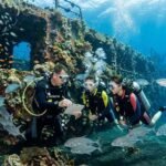 Wreck Diving Certification in Bali